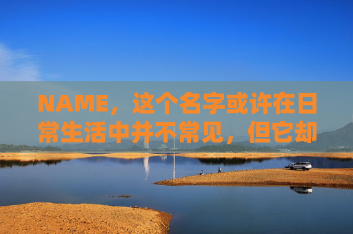 NAME，这个名字或许在日常生活中并不常见，但它却在某些领域里扮演着重要的角色。今天，让我们一起来探索这个名字背后的故事和意义